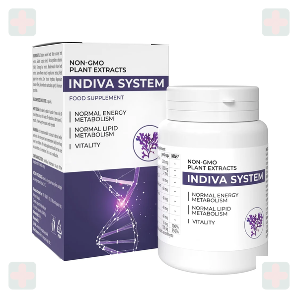 InDiva System